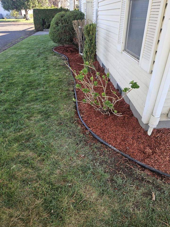 Lawn maintained by Pablo's Lawn Service