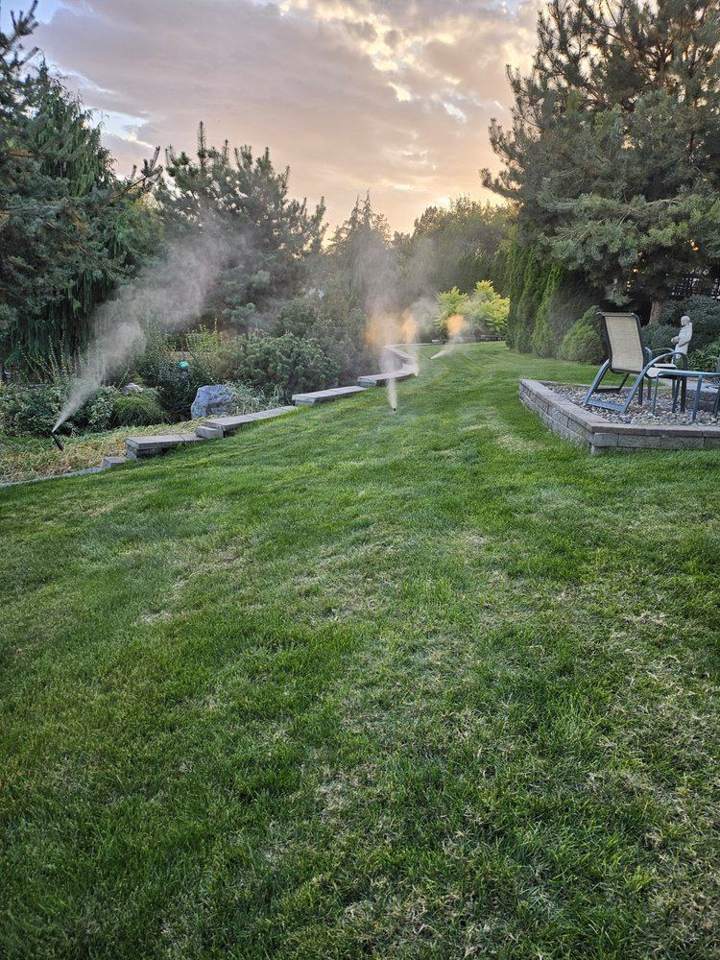 Lawn Mowing & Maintenance